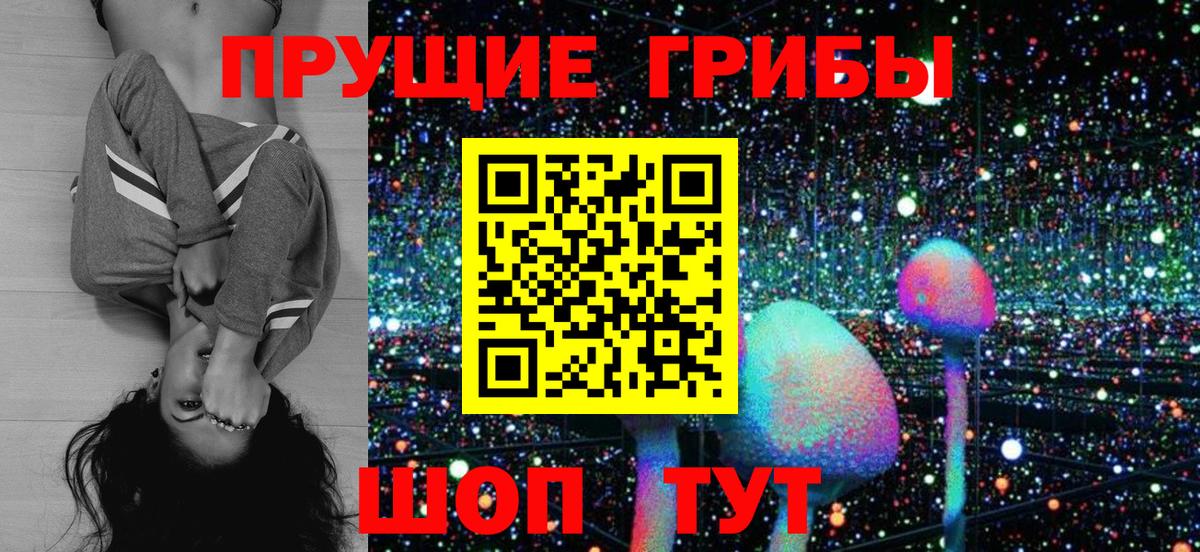 Мыски  Псилоцибиновые грибы MAGIC MUSHROOMS  Вход с VPN 